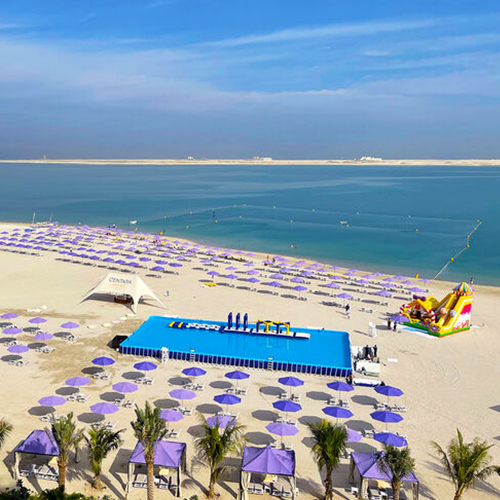 High Quality Dwf Material Inflatable Borad, Surfing Borad Inflatable, Inflatable Paddle Borad